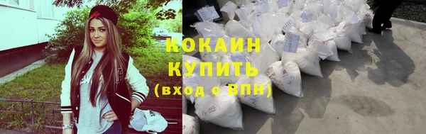 стаф Ладушкин